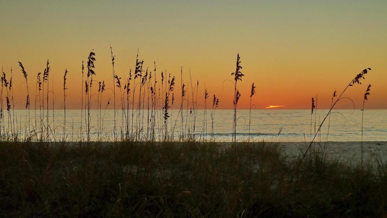 Sunset Chateau 409 St. Pete Beach Ngoại thất bức ảnh